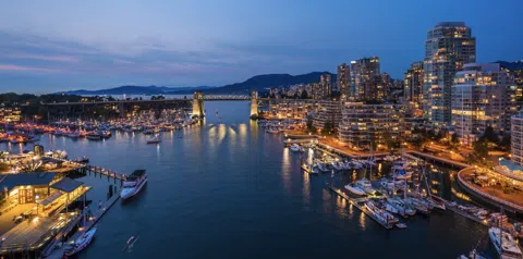 The Best Whale Watching Tours in Vancouver