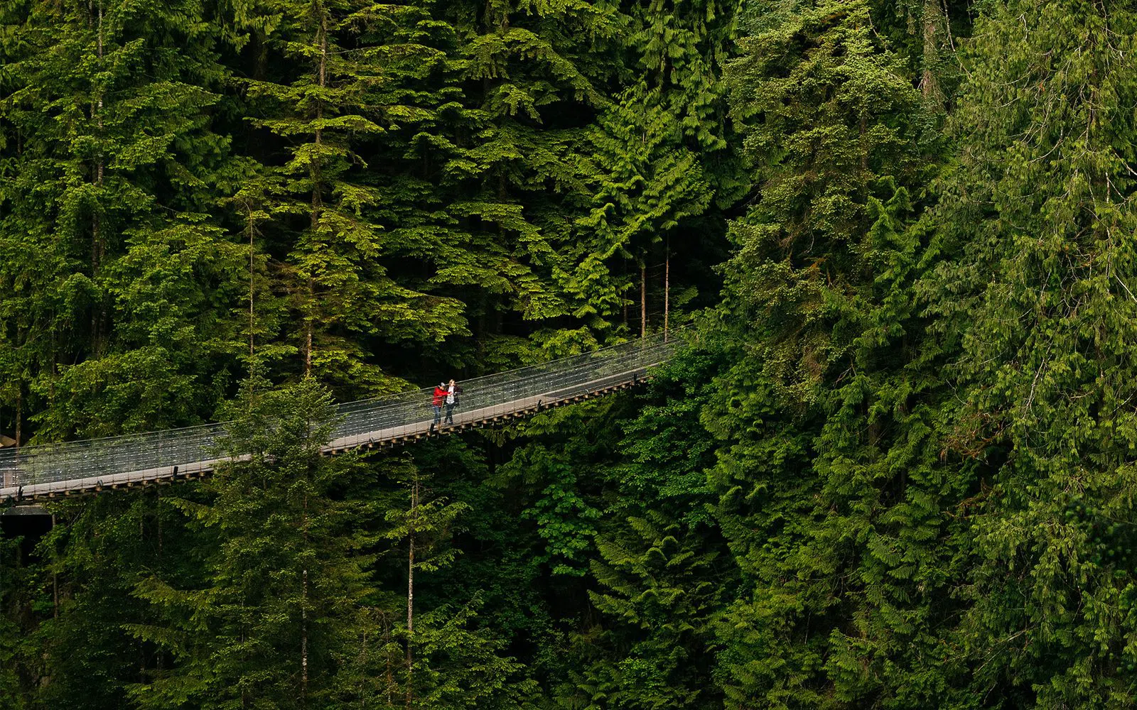 Treetops Adventure, Vancouver