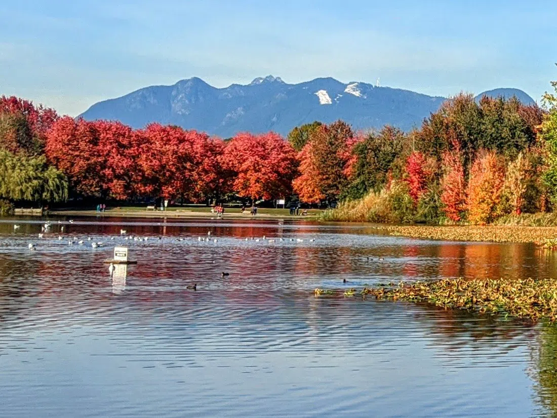 John Hendry Park (Trout Lake), Vancouver