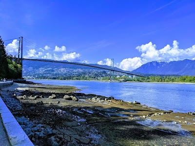 Bike the Stanley Park Seawall
