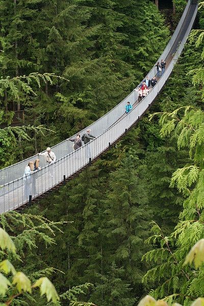 Capilano Suspension Bridge