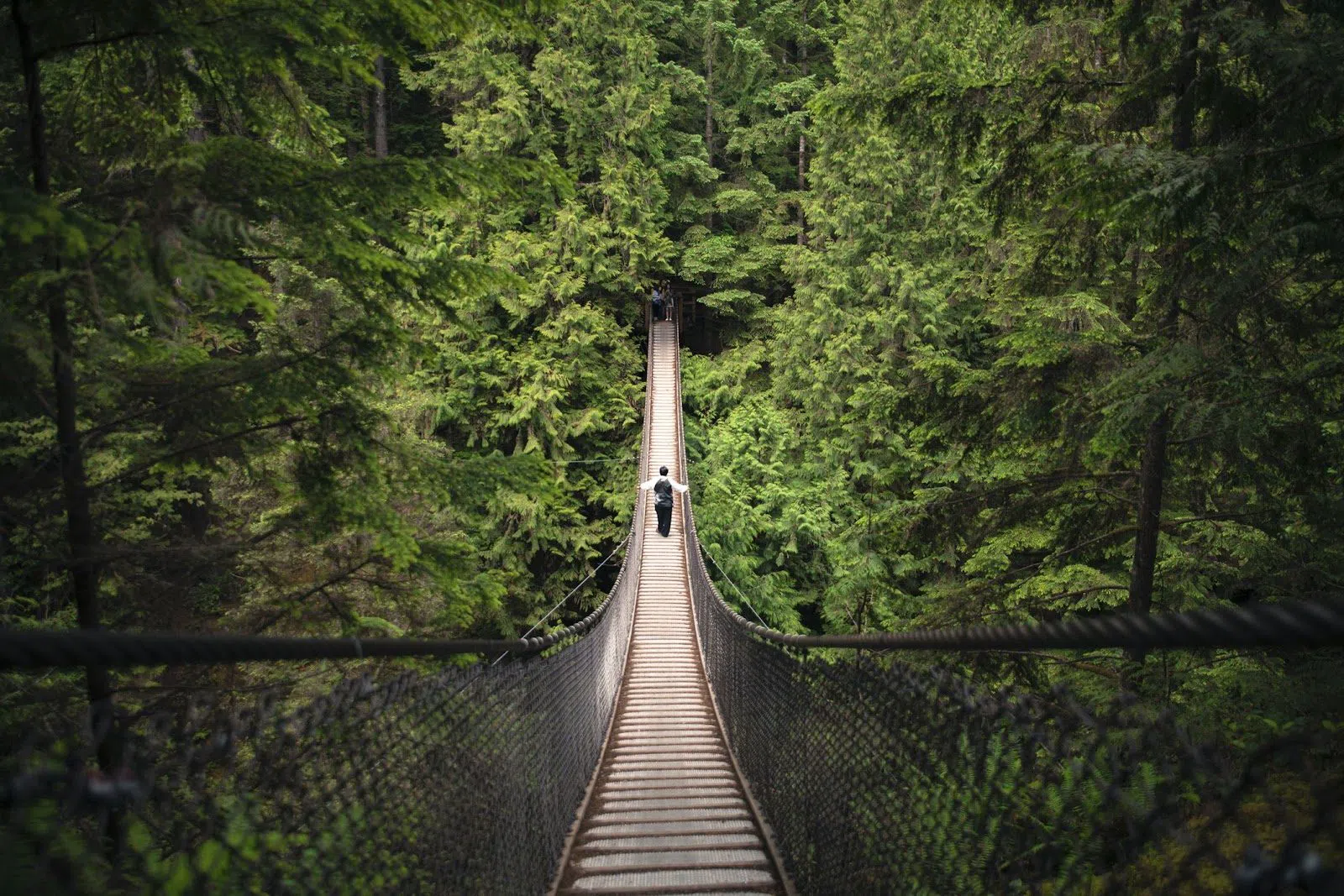 Lynn Canyon Park, Vancouver