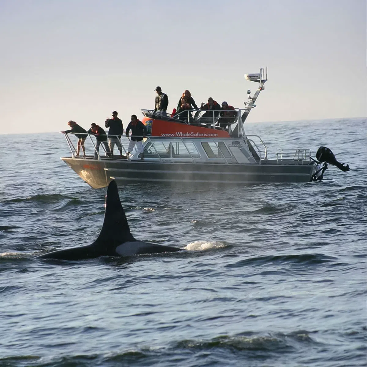 West Coast Aquatic Safaris Granville Island Steveston